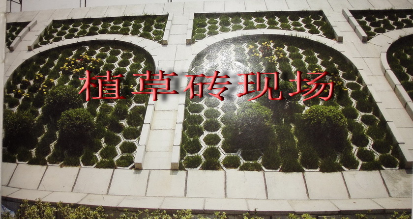 植草砖现场